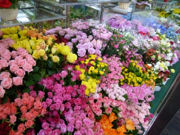 「お花の店　みょんみょん」　（千葉県千葉市稲毛区）の花屋店舗写真2